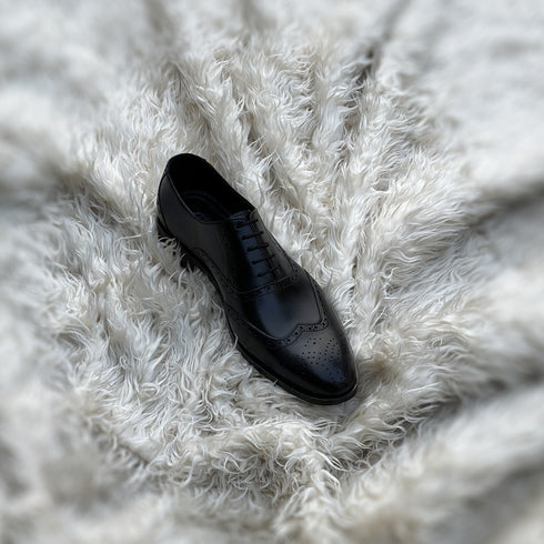 WINSTON - BLACK (Limited Edition)